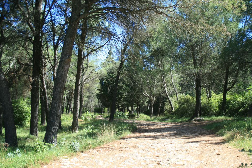 Chambres D'Hotes Le Puid De Gauthier Saturargues Bagian luar foto